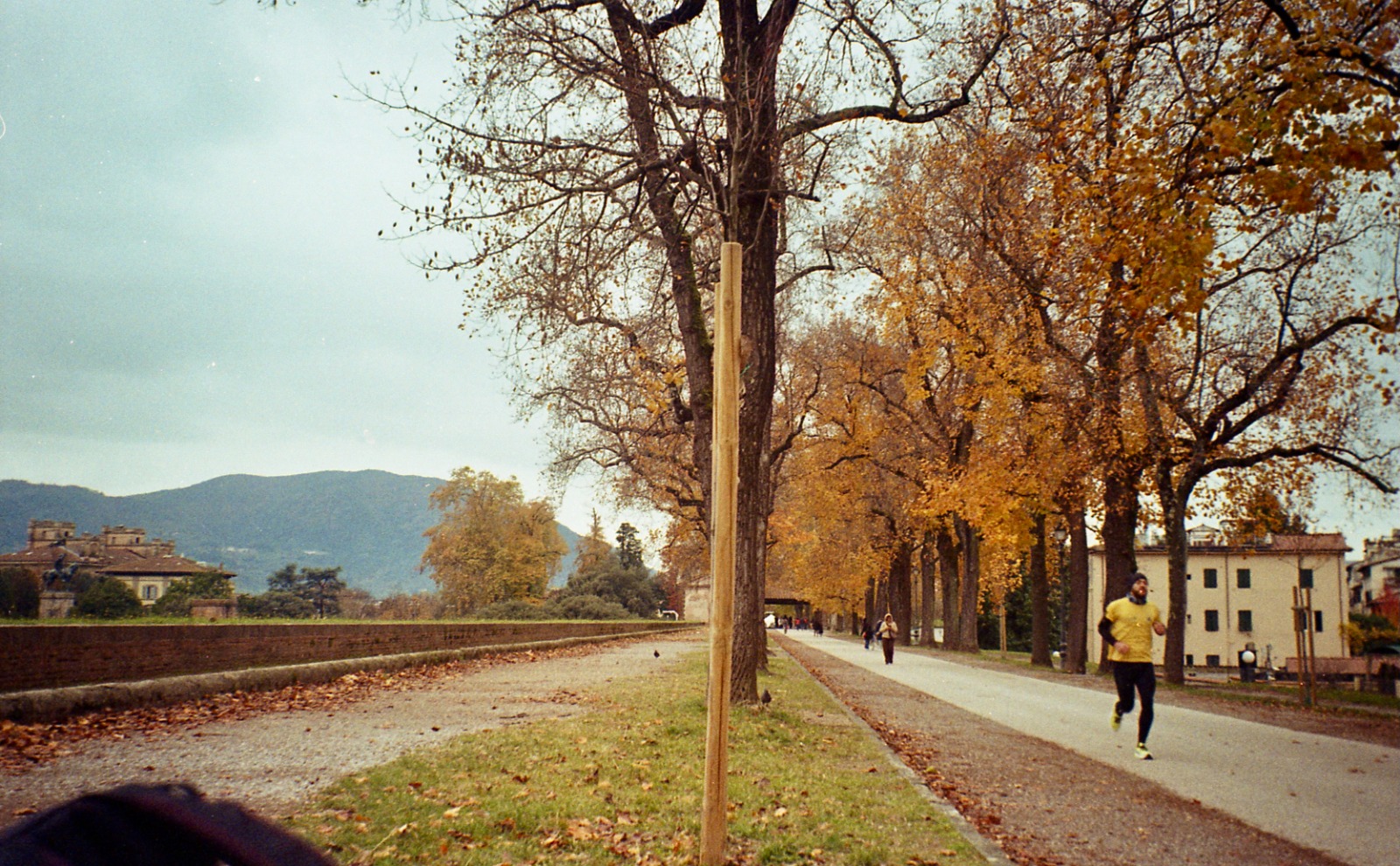 ita3
