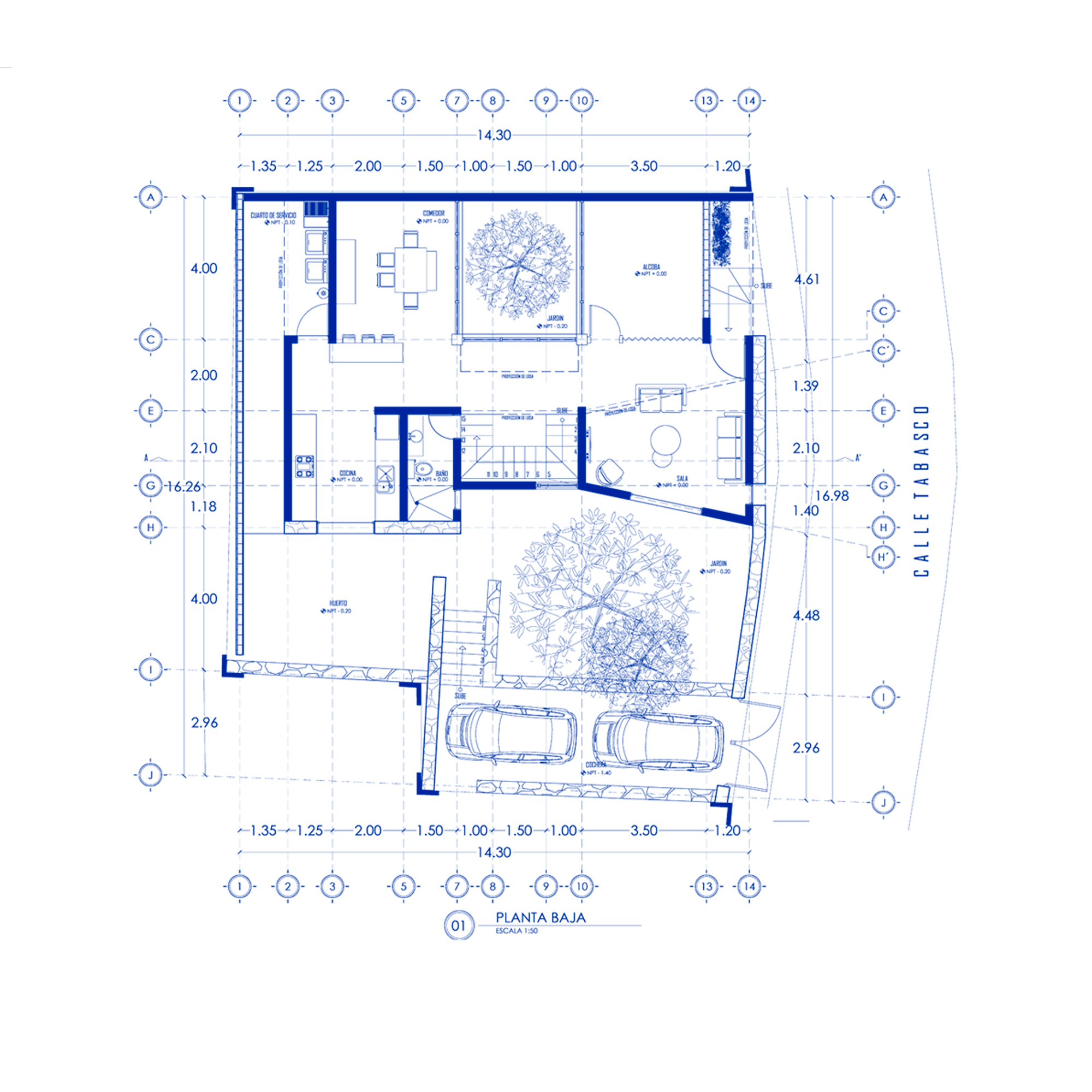 Home mezquite planta pb